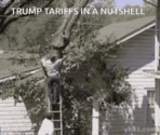 TRUMP_TARIFFS.gif TRUMP_TARIFFS.gif