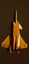 J-20 golden.jpg