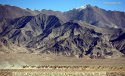 Xinjiang.Altun.Mountain.Nature.Reserve.1.jpg