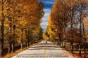 North.China.Golden.Autumn.1.Saibei.jpg
