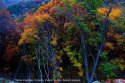 North.China.Golden.Autumn.7.Shanxi.Renzu.mountain.jpg