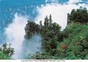 Zhangjiajie.7.Imperial.Brush.Peak.jpg