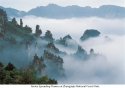 Zhangjiajie.8.Fairies.Spreading.Flowers.jpg