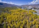 Yalong Lingka wetland,Garze Prefecture, Sichuan.5.jpg
