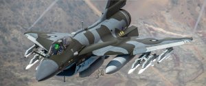 PAF J-10CE no. 119 air to air - Awais Lali part.jpeg