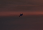 1771921707527.png