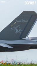 J-35 tail by AVIC - 中国航空工业集团.jpg