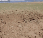 1000027335 (1).gif 1000027335 (1).gif
