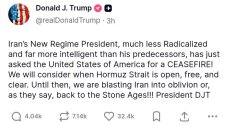 364271.jpg