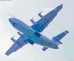 IMG_8921.jpeg