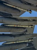 IMG_3002.jpeg