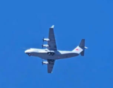 possibley15sighting1.png