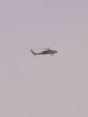 IMG_9176.jpeg