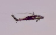 IMG_9176.jpeg
