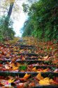 Changxi.Village,Wuyuan,Jiangxi.4.autumn.jpg