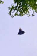 IMG_9334.jpeg