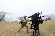 Gun_array.jpg