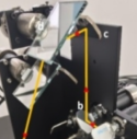 1781736748197.png 1781736748197.png