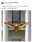 1782851184332.jpeg
