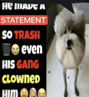 1000075254.png