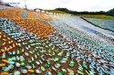 Taiwan.Keelung,plastic.bottle.mosaic.3.jpg