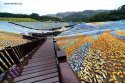 Taiwan.Keelung,plastic.bottle.mosaic.4.jpg