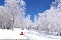 Xianfeng-Forest-Park,Yanbian,Jilin.snow-scenery.jpg