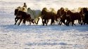 Hulunbuir,Inner-Mongolia.2.herdsman+horses.jpg
