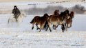 Hulunbuir,Inner-Mongolia.6.herdsman+horses.jpg
