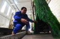 Beijing.cleaning-HSR-workshop.3.jpg