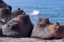 Yehliu-Geopark,New-Taipei,Taiwan.2.jpg