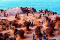 Yehliu-Geopark,New-Taipei,Taiwan.9.jpg