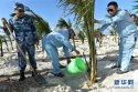 Zhubi.渚碧礁.Subi.0.2016-02-10b_planting-coconut-trees.jpg