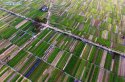 Nanning,Guangxi-Zhuang,Vegetable-fields.(3).Feb10-2016.jpg