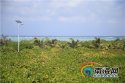 Zhaoshu.赵述岛.Tree.0.2016-02-11d_island-coast.jpg