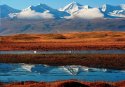 Wetland.(2).Bayanbulak-Wetland,Xinjiang.jpg
