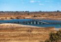 Wetland.(6).Huanghe-Delta-Wetland,Shandong.jpg
