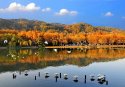 Wetland.(8).Xixi-Wetland-Park,Hangzhou,Zhejiang.jpg