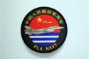 PLANAF - fighter pilots badge.jpg