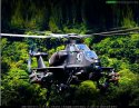 wz-10.jpg