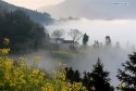 Shitan-villiage,Huangshan-City,Anhui.(1).jpg
