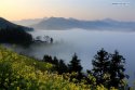 Shitan-villiage,Huangshan-City,Anhui.(5).jpg