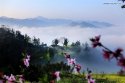 Shitan-villiage,Huangshan-City,Anhui.(7).jpg