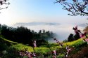 Shitan-villiage,Huangshan-City,Anhui.(10).jpg