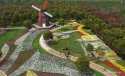 Dongxi-Lake-Tulip-Park,Wuhan,Hubei.(1).2016-03-31.jpg