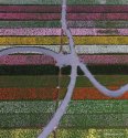 Dongxi-Lake-Tulip-Park,Wuhan,Hubei.(4).2016-03-31.jpg