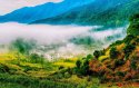 Wuyuan-county,Jiangxi.(1).jpg
