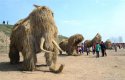 Gaoqing-county,Shandong.(1).straw-arts-festival.3Apr2016.jpg