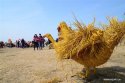 Gaoqing-county,Shandong.(2).straw-arts-festival.3Apr2016.jpg