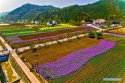 Huanghua-township,Yichang,Hubei,terrace-fields.(3).jpg